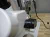Magnification Adjustment